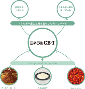 ~lCB-1